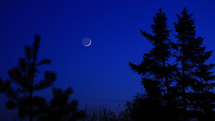 Blue hour time with crescent Moon, stars and planets above landscape silhouettes. © astrosystem