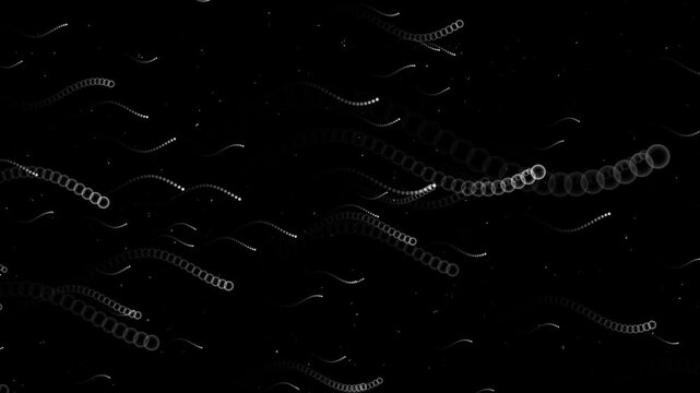 Particle trails animation streams with smooth fluid trajectories. Dynamic computational kinetic motion graphics define particle trails animation. Modern media uses trails.