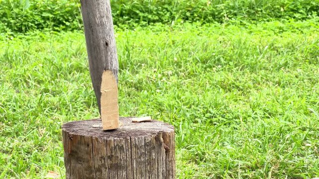 Close-up shot of a person using a hatchet to whittle and sharpen the tip of a wooden stake on a chopping log. Ideal for bushcraft, forestry, and outdoor construction videos.