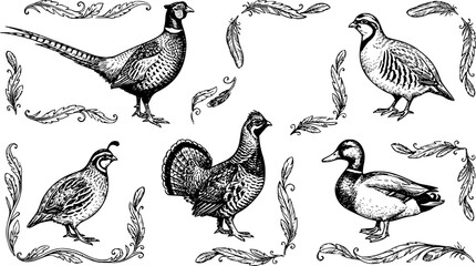 Obraz premium Set of detailed hand drawn game birds