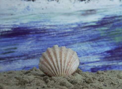 Original fine art macro photography of a textured scallop sea shell on sand with a blue ocean wave painting background.
