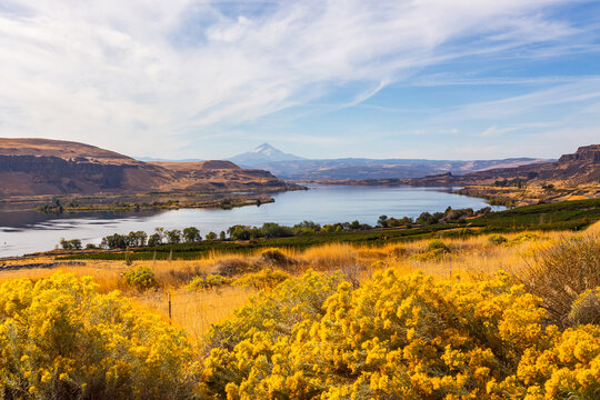 The Columbia River in autumn, surrounded by picturesque hills