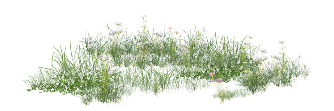 green grass isolated on white/High-resolution wildflower meadow with fresh green grass and delicate blooms isolated on a clean white background.