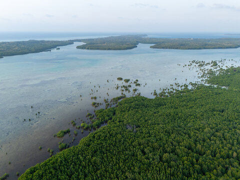 Aerial view of the lush mangrove forest and turquoise waters surrounding the Karimunjawa Mangrove Forest Observation Tower in Jepara Regency, Central Java, Indonesia.