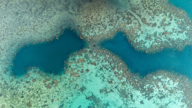 Aerial view of vibrant coral reef formations in the clear turquoise waters of the Karimunjawa archipelago, showcasing intricate patterns in Jepara Regency, Central Java, Indonesia.
