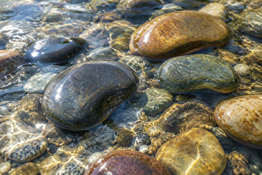 Smooth kidney-shaped river stones resting in clear water, natural rounded forms with wet glistening surfaces under soft daylight.