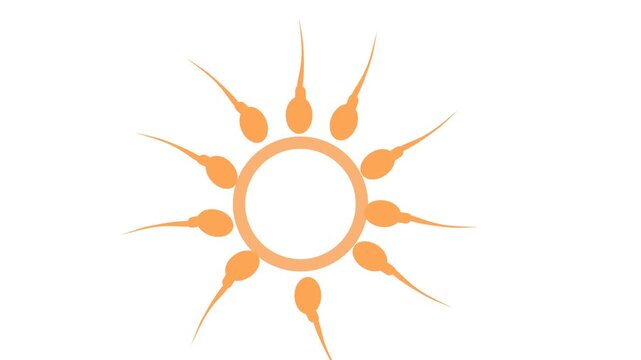 biological illustration depicting the process of fertilization, the sperm cell approaching, making contact with the egg,