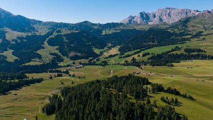 Naklejka premium View of beautiful landscape in the Alps with fresh green meadows in the background on a sunny day with blue sky and clouds in summertime. Alpe de Siusi, Dolomite Alps