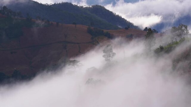 Time Laps of beautiful landscape scenery of a sea of mist in the morning, movement of the fog covering the Mountain. The travel destination natural of Mae Chaem, Chiang Mai, Thailand.