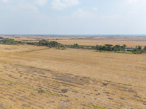 Aerial view of drought affected rice field with cracked dry soil in the rural landscape of Wedung, Central Java, Indonesia.
