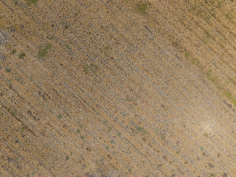 Aerial view of drought affected rice field with cracked dry soil in Wedung, Central Java, Indonesia.