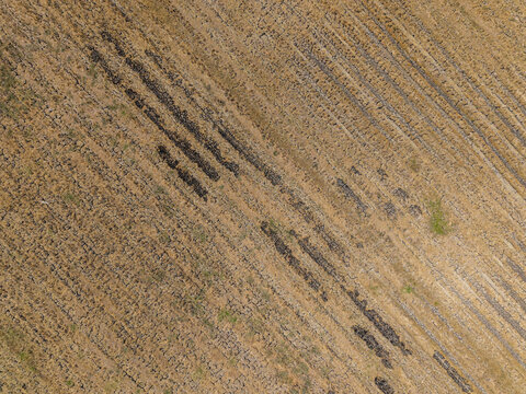 Aerial view of a drought-affected rice field with cracked dry soil and patches of burnt vegetation in Wedung, Central Java, Indonesia.