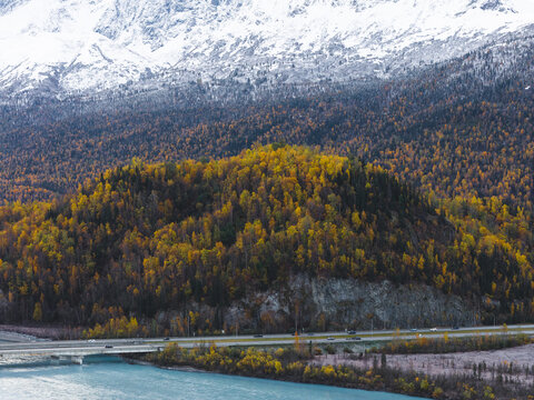 Aerial view of the Knik River with turquoise waters, a highway bridge, and a forested hill with vibrant autumn foliage against snow-capped mountains in Knik River, Alaska, United States.