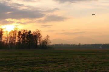 Naklejka premium Sunset over a field with trees and distant mountains
