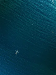 Single white kayak paddling through deep blue ocean waves under clear sunlight reflections in... © NBLX