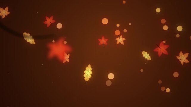 Rack Focus Maple Leaf Autumn Bokeh Background Loop