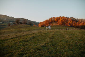 Naklejka premium Happy girl running with outstretched arms and pink and white balloons across a green autumn meadow.