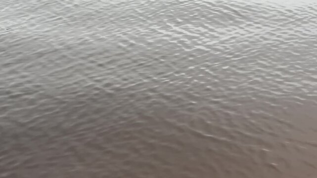 Calm water surface with gentle ripples forming a soothing, abstract motion texture and subtle reflections. Natural lake or river pattern ideal for backgrounds, design, nature concepts, and environment