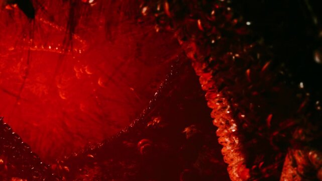 In an enchanting scene, radiant red hues illuminate the depths of the ocean. Bubbles and glowing shapes create a magical environment filled with life and mystery.