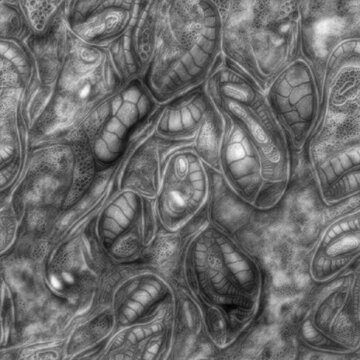 4K Seamless Alien Terrain Displacement Texture for Sci-Fi Environments