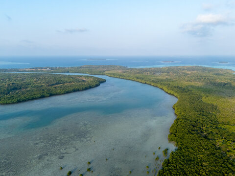 Aerial view of the lush mangrove forest and coastal waters of Karimunjawa, featuring dense green vegetation, shallow turquoise sea, and distant islands in Jepara Regency, Central Java, Indonesia.