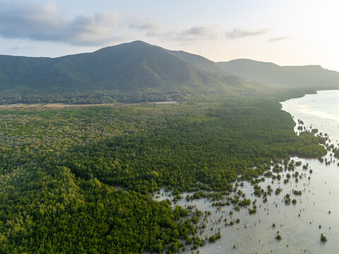 Aerial view of Menara Pandang Hutan Mangrove Karimunjawa surrounded by lush mangrove forest and coastal mountains in Jepara Regency, Central Java, Indonesia.