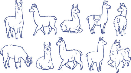 Fototapeta premium Collection of hand drawn llama illustrations in a blue line art style