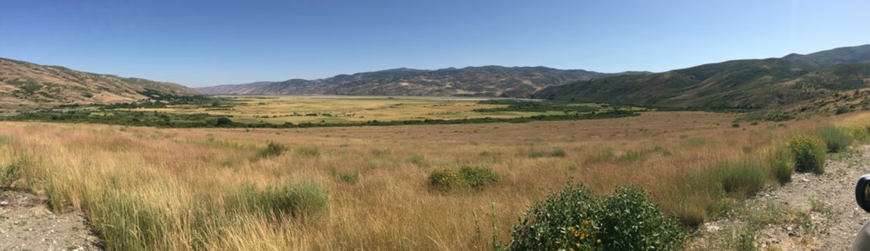 Panoramic view of a dry grassy valley with rolling hills