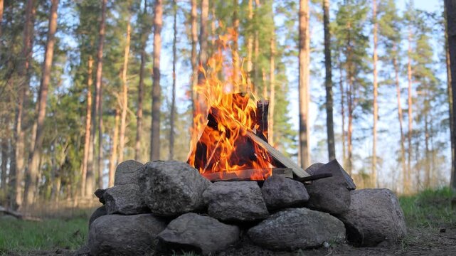 A crackling campfire in a ring of stones with bright orange flames dancing in slow motion against a backdrop of a lush green forest.
