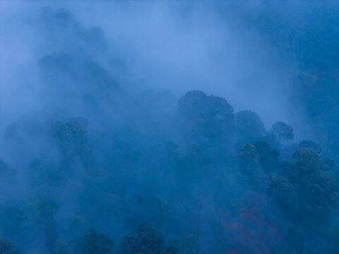 Aerial view of misty tropical forest in late evening with dense foliage and low hanging clouds in Bukit Mertajam, Penang, Malaysia.