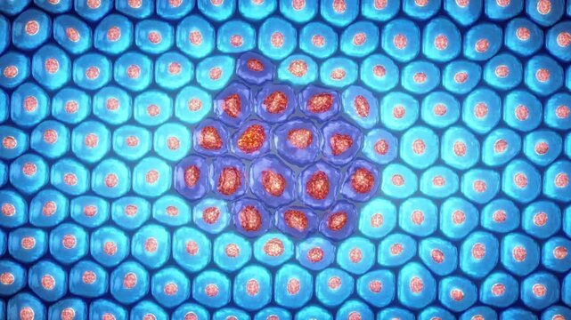 Free radicals attack healthy cells, damaging DNA, proteins, and lipid membranes. Unchecked oxidative stress spreads outward from the cluster center, accelerating cellular decay and chronic aging
