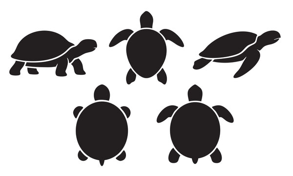 A collection of black silhouette icons representing various sea turtles and tortoises in different poses.