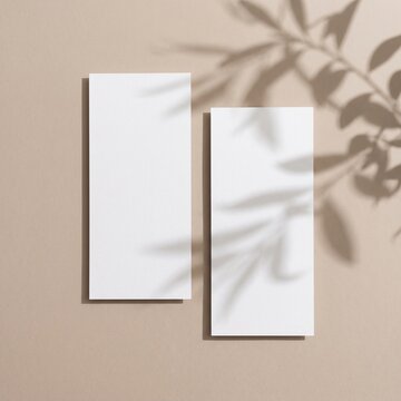 Blank white paper brochure mockup on beige background with olive leaves shadow