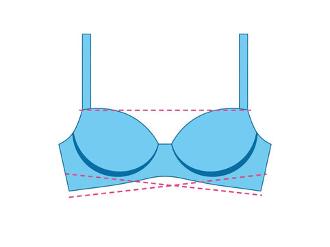 Bra Size Measurement Illustration - Lingerie Fitting Guide Vector