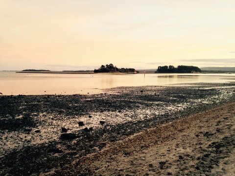Calm estuary at low tide with wooded islands at sunset