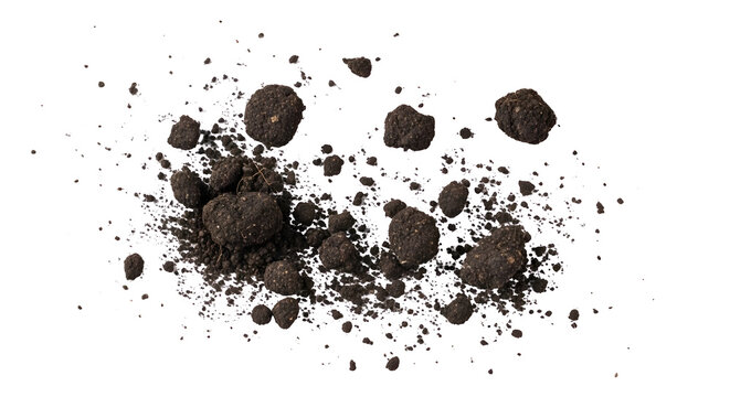 Scattered dark soil clods and earth particles isolated on a clean transparent background for gardening and landscaping textures