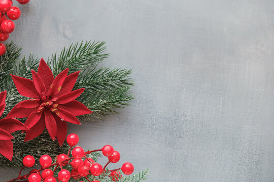 Festive Christmas arrangement with red poinsettia, evergreen spruce branches and red berries on a gray textured background with space for text.
