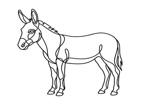One line drawing of a wild ass burro farm animal template for modern corporate logo brand identity