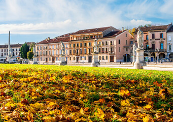 scenic cityscape of an autumn city park with golden leaves on the grass and beautiful city square buildings on background. Autumn season city landscape © Yaroslav