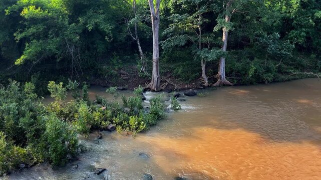 Clear flowing stream meets a wider muddy river creating a striking two color confluence surrounded by lush forest vegetation