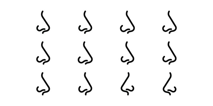 Set of human nose profile silhouettes for facial anatomy illustration.