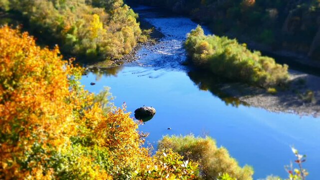 Wide tilt shift loop of a heron and cormorant on a river rock. Beautiful Arda river landscape in early autumn with colorful forest trees. Perfectly looped miniature effect footage in Bulgaria.