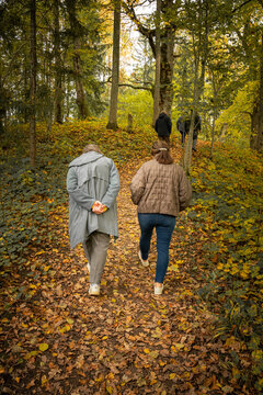 Older adults walking uphill on autumn forest trail during group nature hike