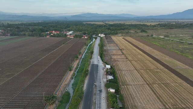 Aerial view of a road cutting through agricultural fields in Kertajati, West Java, Indonesia.