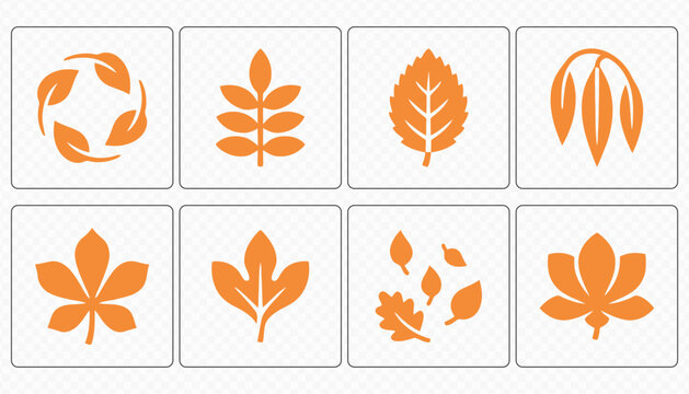 Autumn Foliage and Seasonal Nature Vector Icons