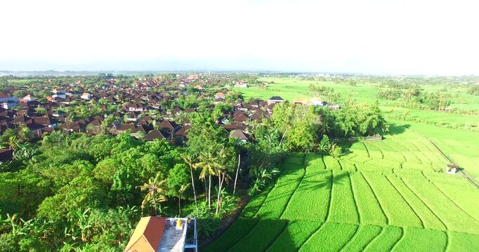 Rice Paddies mixing with encroaching suburbs in Denpasar Sanur