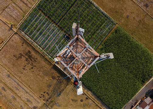 Aerial view of a telecommunications tower rising above agricultural fields and lush green crops in Patikraja, Central Java, Indonesia.
