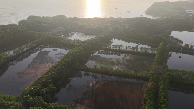 Sunlight glints over tranquil water pools. Greenery frames each reflective pond at Probolinggo