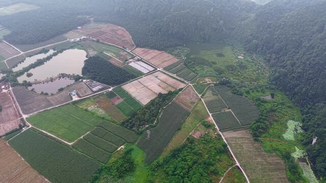 Aerial view captures a patchwork of farmland and ponds at Kampar, Perak