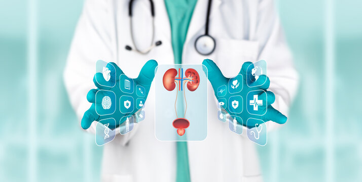Doctor examining a digital screen to detect abnormalities in the male urinary system for the diagnosis of recurrent infections. Laboratory analysis and science. Medical technology.